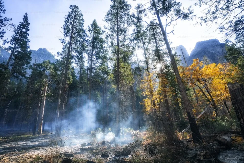 Top-25-Best-Climate-Change-Charities-to-Work-with