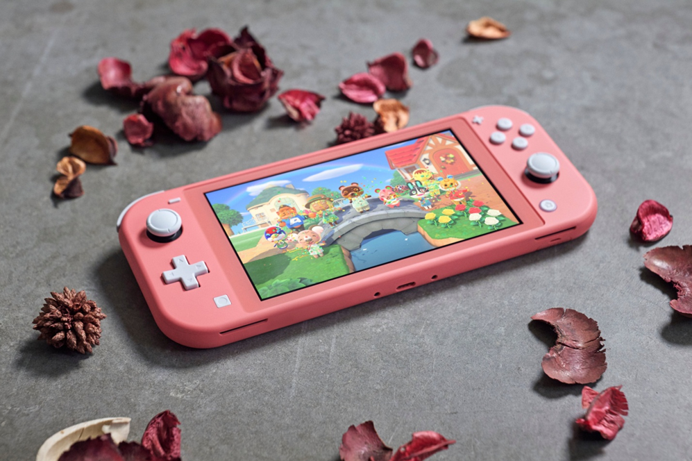 Nintendo Donation Request