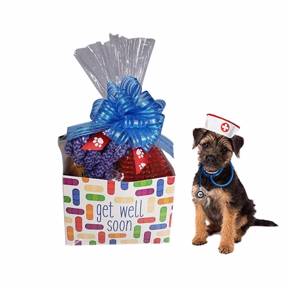 Dog Raffle Basket Ideas
